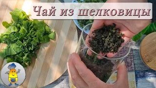 Ферментация листьев шелковицы - 5 этапов от А до Я