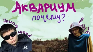 АКВАРИУМ ПАРАДОКС БГ | РАЗБОР | youngwoodpodcast X LUCH