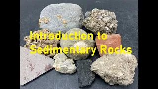 Rock Identification with Willsey: Intro to Sedimentary Rocks!