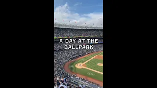 A Day at the Ballpark