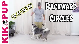Backward circles - Dog training Trick Tip of the Day