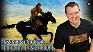 Реакция на Казахская лошадь. Прошлое и настоящее | KASHTANOV