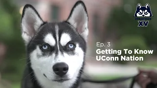 Jonathan XV: Episode 3 - Getting To Know UConn Nation
