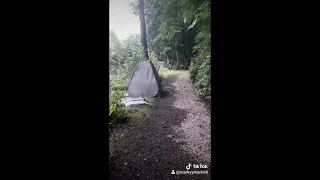 Sir David Attenborough finds a strange creature in the Salford Rain Forest