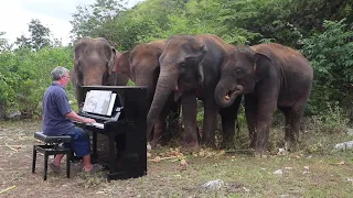 Beethoven "Pastoral Symphony on Piano for Elephants"