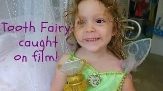 Tooth Fairy Caught on Film!