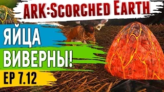 Ark: Scorched Earth - s.7.12 - Яйца ВИВЕРНЫ! Опасность у Ворот!