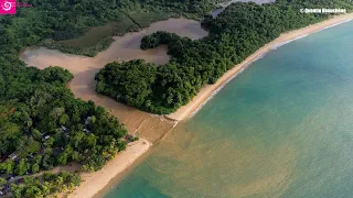 Plage de Grande-Anse Deshaies coupée en deux : une excellente nouvelle pour la biodiversité