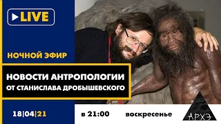 Ночной АРХЭфир "Новости антропологии" от Станислава Дробышевского"