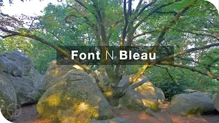 Climbing in FONT - the magical forest by Stephan Denys