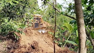 Caterpillar D6R XL Bulldozer Working on a New Road in a Community Plantation