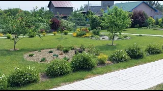 Мой уютный сад малого ухода в начале июня. Создаем сад  из простых растений. Сад в стиле минимализм.
