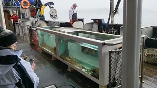 The Bearing Sea Crab Fisherman's Tour Ketchikan Alaska pt 1 #alaska #beringsea #crabs