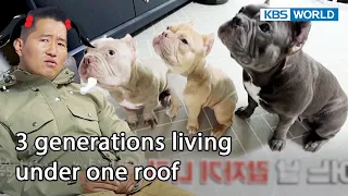 3 generations living under one roof 🏡 [Dogs are incredible : EP.151-1] | KBS WORLD TV 221213