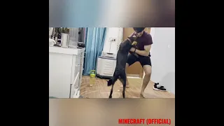 #GamerFleet dancing with his dog (pompuna) on yashrajmukhata song bing bing boo  for 1 Million spe..