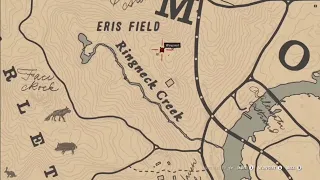 Finding Loots Like This Are More Challenging Than Completing Missions - RDR2
