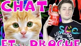 Chat et Drogue - SLG N°60 - MATHIEU SOMMET