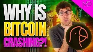 WHY is Bitcoin CRASHING?! 😬 Crypto Market Chat with Trading Parrot