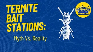 Termite Bait Stations: Myth Vs. Reality