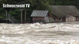 🚨🌊 Hochwasser in Rheinfelden: War die alte Rheinbrücke dieses Mal nicht in Gefahr? [01.06.2024]