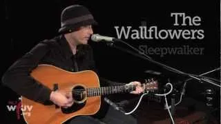 The Wallflowers - "Sleepwalker" (Live at WFUV)