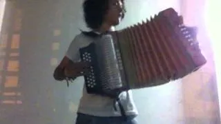 Wake me up (Avicci) - Accordion Cover - Mulett