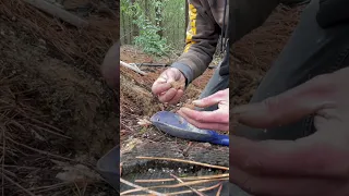 Pure excitement! Gold in a clump!! #adventure #goldnugget #golddetector