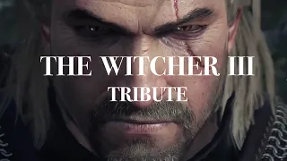 Witcher 3: Wild Hunt (tribute)