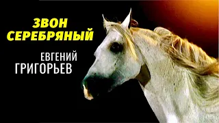 ВСЕМ ЛЕТНЕГО НАСТРОЕНИЯ !!! ЕВГЕНИЙ ГРИГОРЬЕВ -ЖЕКА- "ЗВОН СЕРЕБРЯНЫЙ"