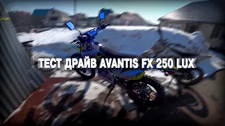 Avantis fx 250 lux. Тест-драйв