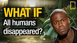 What would happen to Earth if humans went extinct?