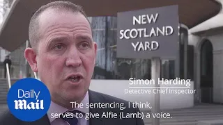 Detective Simon Harding says: 'The sentencing gives Alfie a voice'
