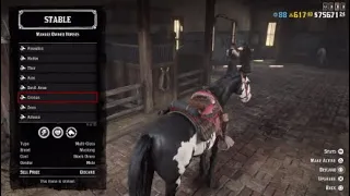 my favorite horses* online and story, 14th playthrough