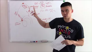 USMLE Cardiovascular 7: Blood Pressure,  Pulse Pressure, and Baroreceptors