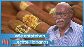 Habanos: das Geheimnis hinter Kubas Exportschlager 🧐💡 | Wissen4Free