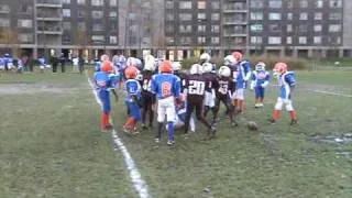 CO OP CITY COWBOYS " MIGHTY MITES"  HITTING HARD AGAINST THE BRONX COLTS JR PEE WEES