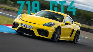 Porsche 718 GT4- Best Driver Car?!