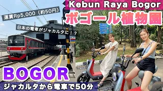 Kebun Raya Bogor 🌱初めての電車！ボゴール植物園に行ってきたよ🇮🇩 インドネシア | 観光 | Indonesia