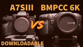 bmpcc 6k vs sony a7siii