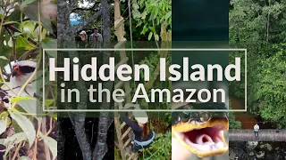 The Colombian Amazon’s Best-Kept Secret: The Hidden Island (R.N.La Isla Escondida) - 4k videos