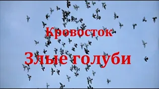 Кровосток - Злые голуби (фан-клип с видеорядом из фильма Пёс Призрак - Путь самурая)