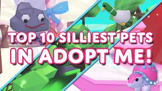 🦆The Top 10 SILLIEST ADOPT ME PETS That Were EVER MADE! 🪨Which Is The Silliest?!🤣