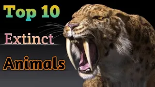 Top 10 Extinct Animals. (2023)