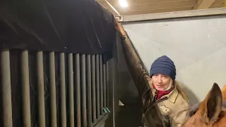 How We Hang Our Hay Nets