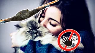 Почему целовать кошек опасно?