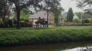 CARRIAGE RIDES KOETSENTOCHT SLOCHTEREN 2016