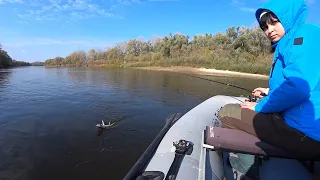 Поймал Три Вида Хищника С Одного Места. Рыбалка На Спиннинг Осенью