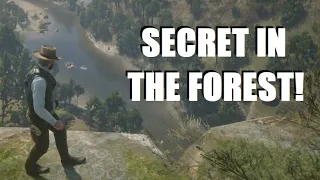 Roanoke Valley MYSTERY SOLVED and Haunted Forest Secret Found in Red Dead Redemption 2!
