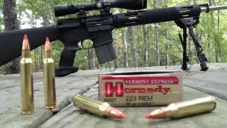 .223 Hornady VMAX 55 gr Varmint Express at 200 and 300 Yards