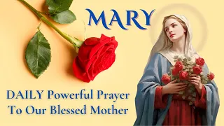 Say This POWERFUL DAILY Prayer to Mary!